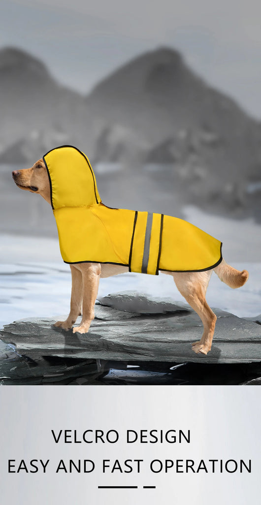 Dog wearing a yellow raincoat with a mountainous background