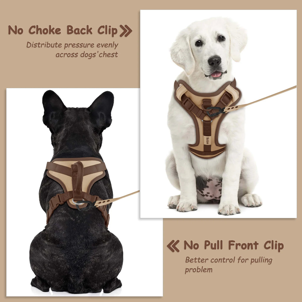 Dog harness with no-choke back clip and no-pull front clip on a beige background