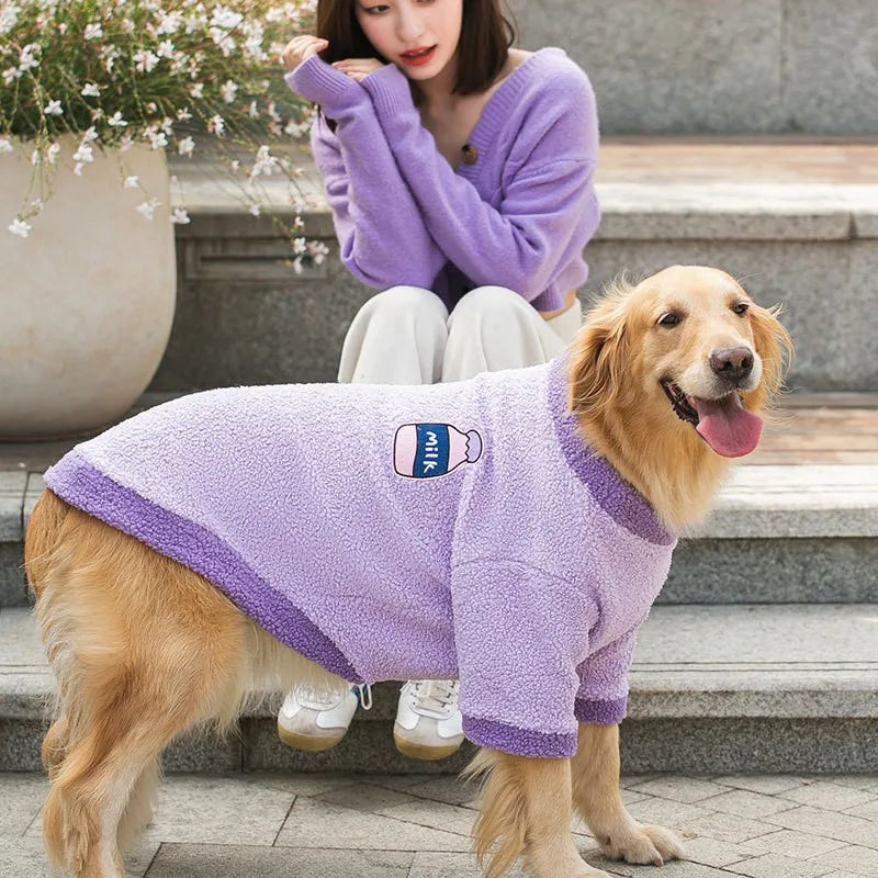 Dog wearing a purple fleece coat with a milk bottle design, sitting on steps with a person in the background.