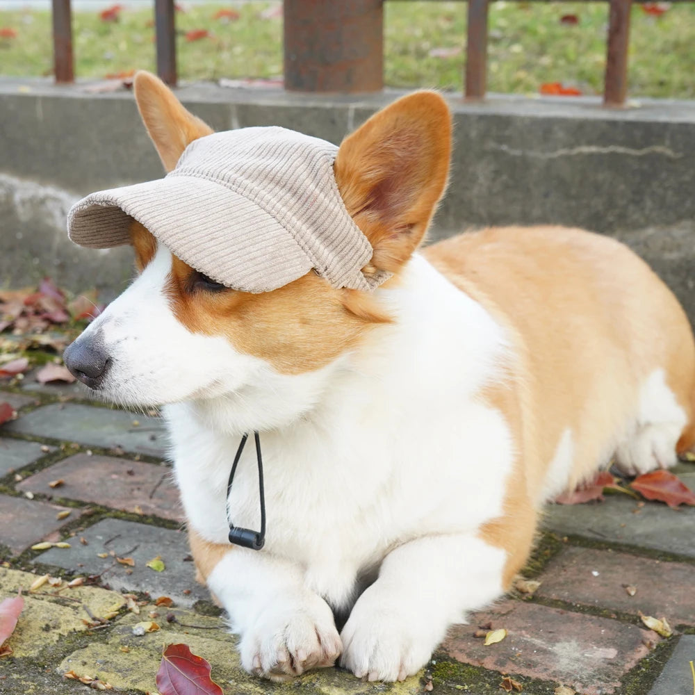 Corgi wearing a beige cap sitting on a brick path with grass and leaves in the background.