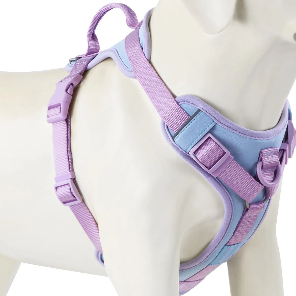 Pastel purple and blue dog harness on a mannequin