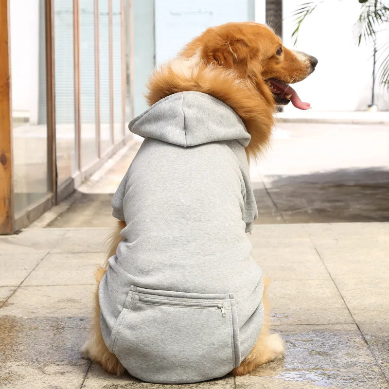 Dog wearing a gray hoodie sitting on a tiled floor.