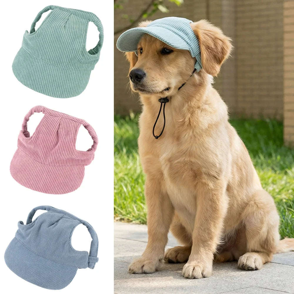 Dog wearing a light blue cap with three color options displayed on the left.