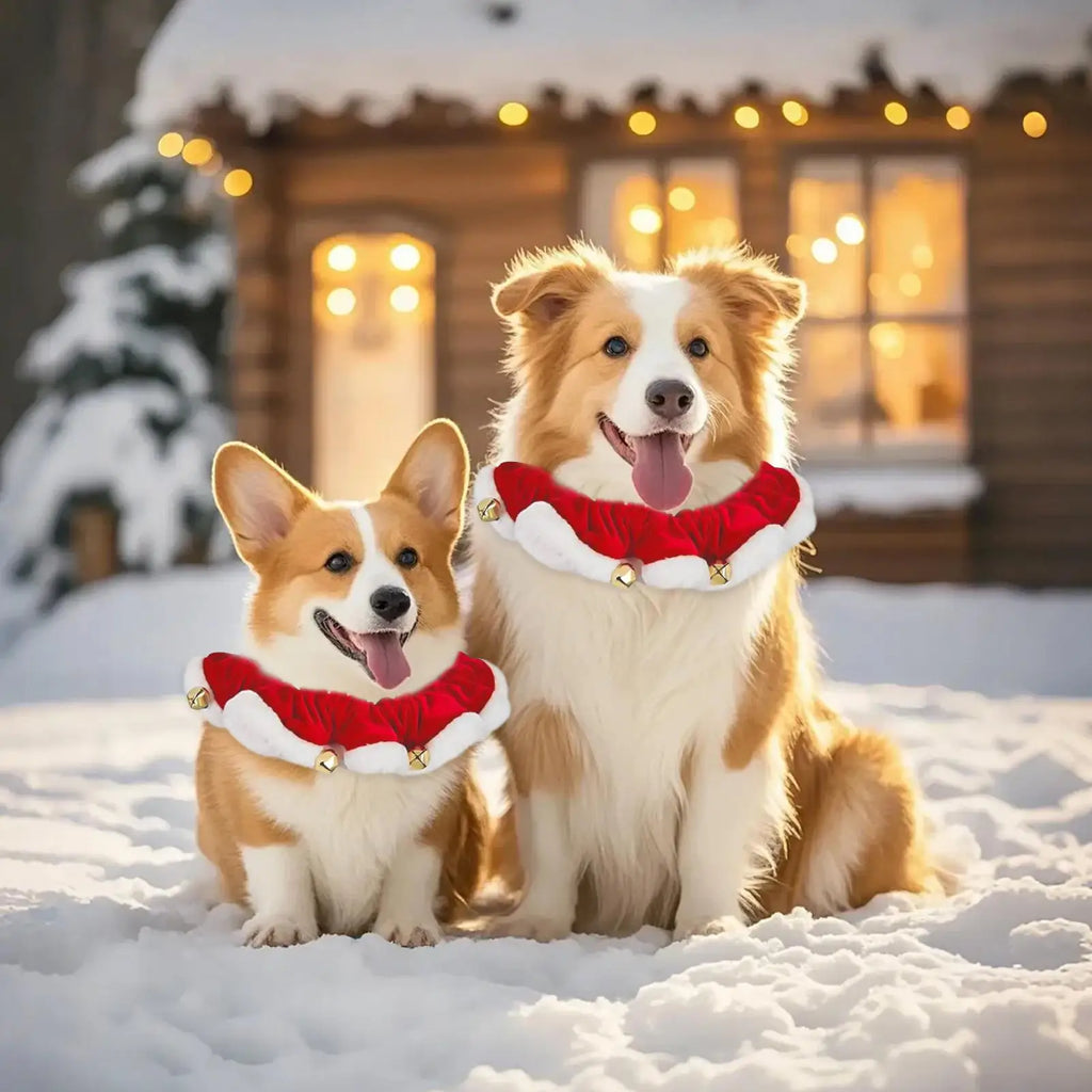 Christmas Dog Collar – Pet Cat Festive Neckwear, Stretchable Christmas Pet Collar with Bell for Hiking, Training, Outdoors & Indoors