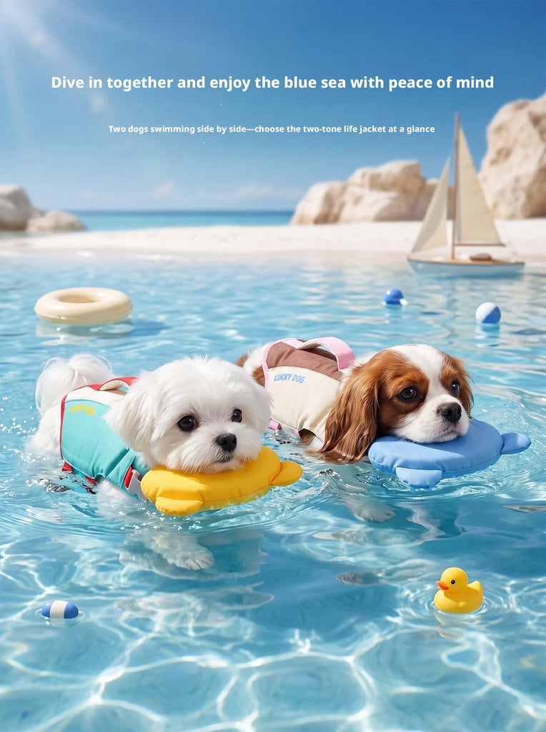Two small dogs floating in blue ocean water wearing life jackets, with a sailboat, beach rocks, and white text at the top reading 'Dive in together and enjoy the blue sea with peace of mind.'.