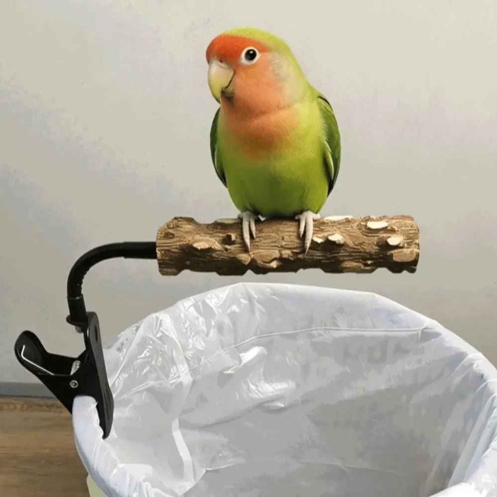 A small green lovebird with a peach-colored face perched on a wooden branch attached to a black clip mounted over a white plastic trash bag.