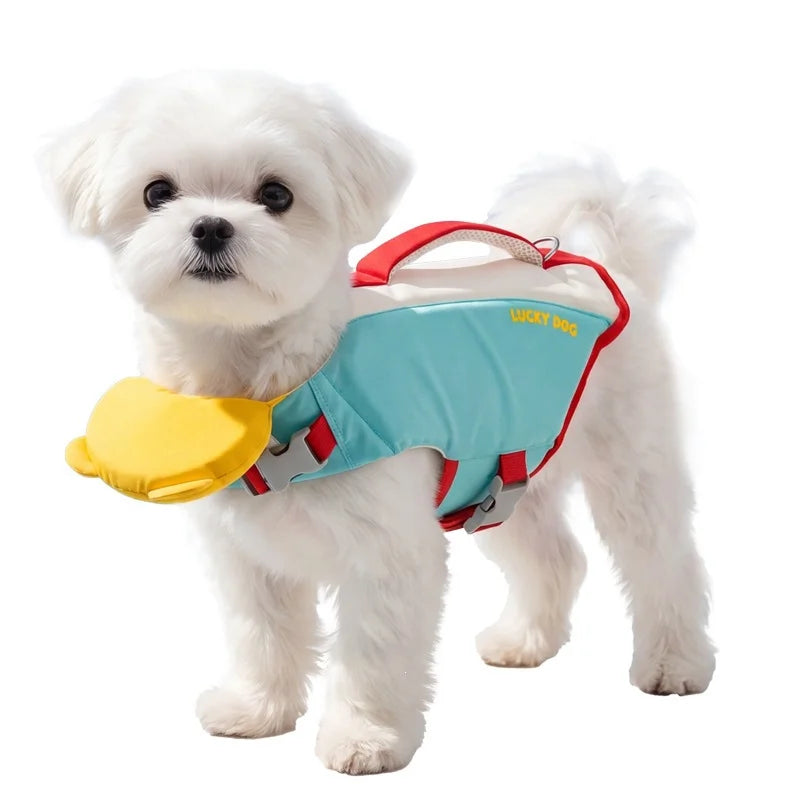 A small white dog wearing a light blue, red, and yellow dog life jacket on a solid white background.