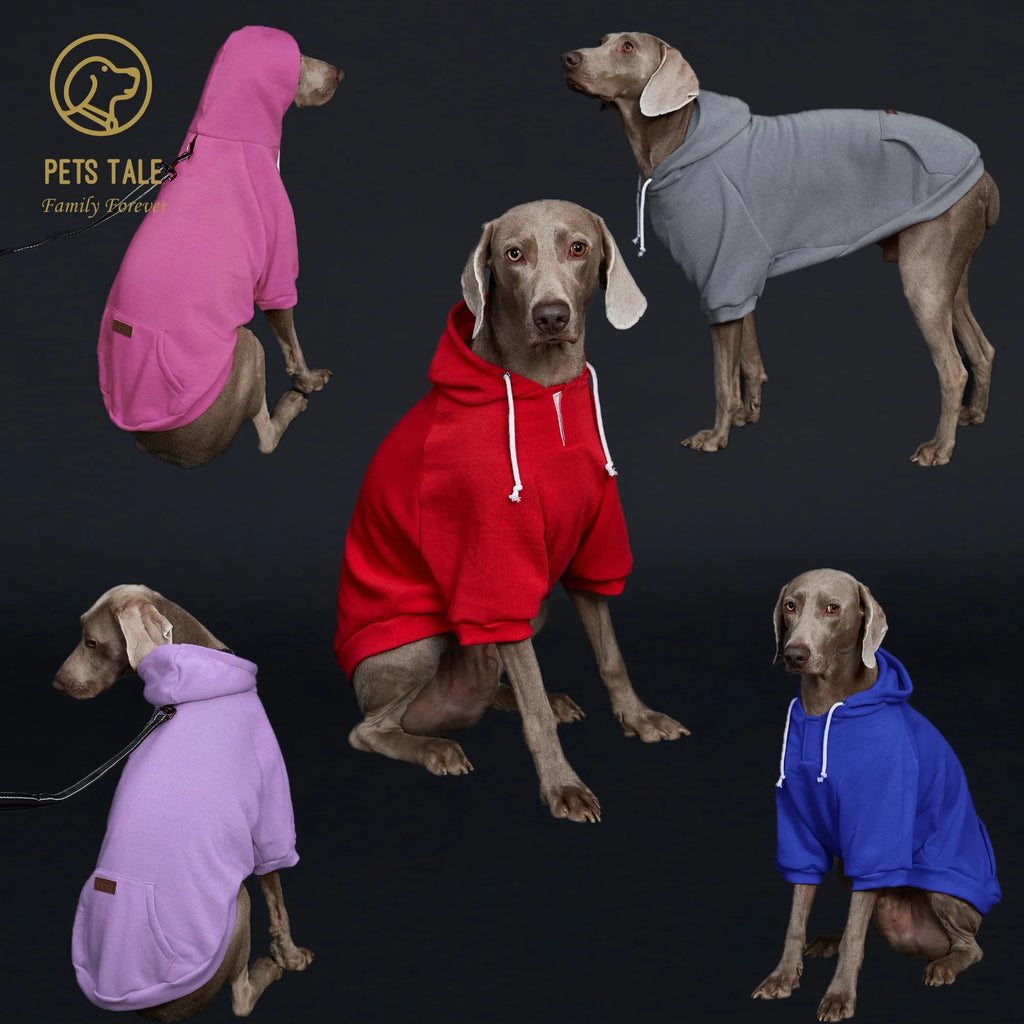 Multiple dogs wearing colorful hoodies on a dark background with 'Pets Tale' branding.