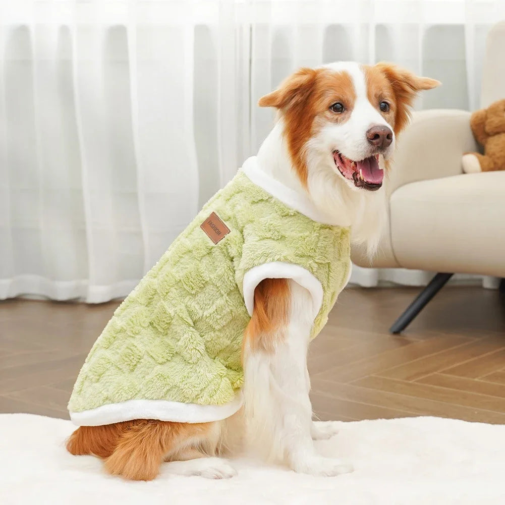 Dog wearing a green fleece coat sitting on a white surface with a blurred background