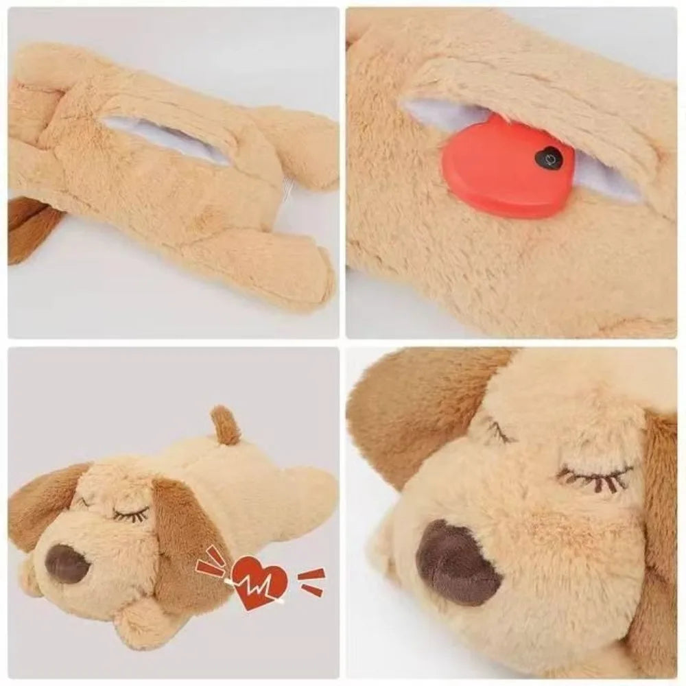 Collage of a plush toy dog with different parts highlighted on a white background