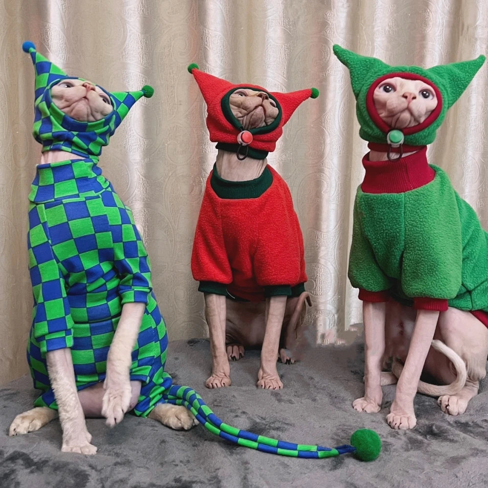 Three Sphynx cats wearing colorful elf costumes against a neutral background.