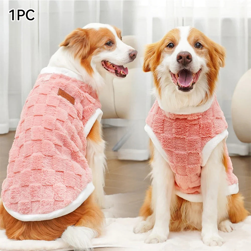 Two dogs wearing pink fleece coats sitting on a carpeted floor.