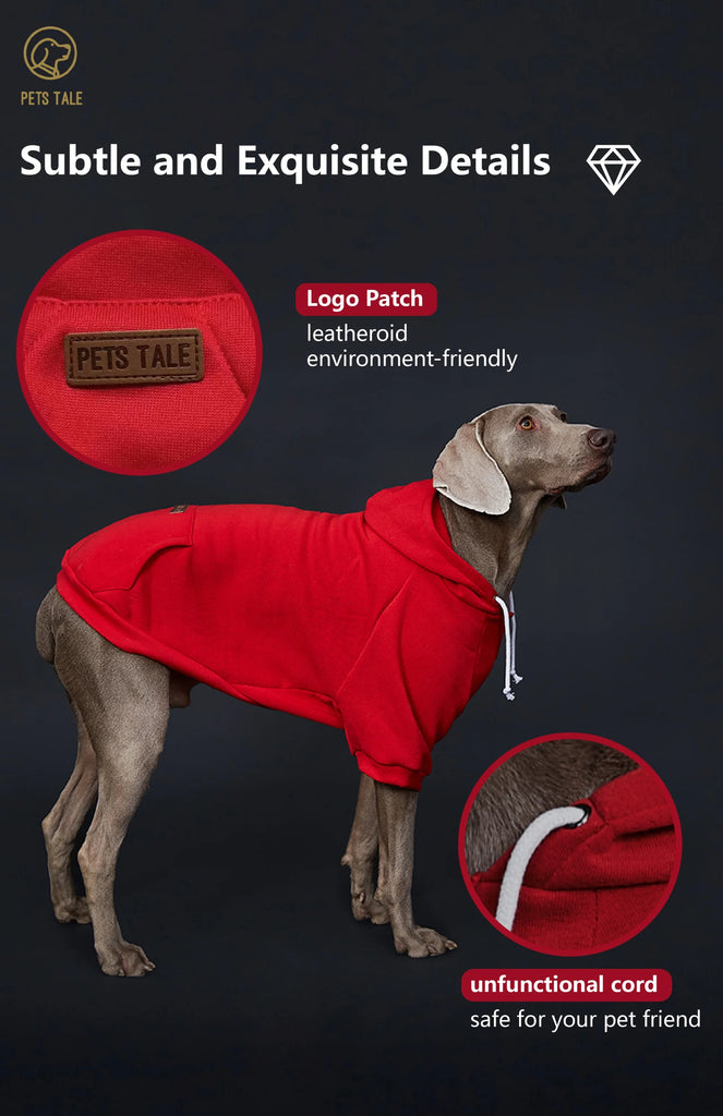 Red dog coat with logo patch and text about features on a dark background