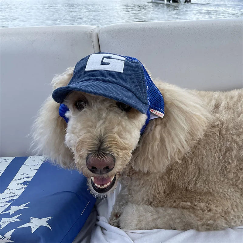 Dog wearing a blue cap with a logo, sitting on a boat.