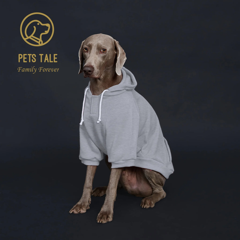 Dog wearing a gray hoodie with 'Pets Tale' logo on a dark background