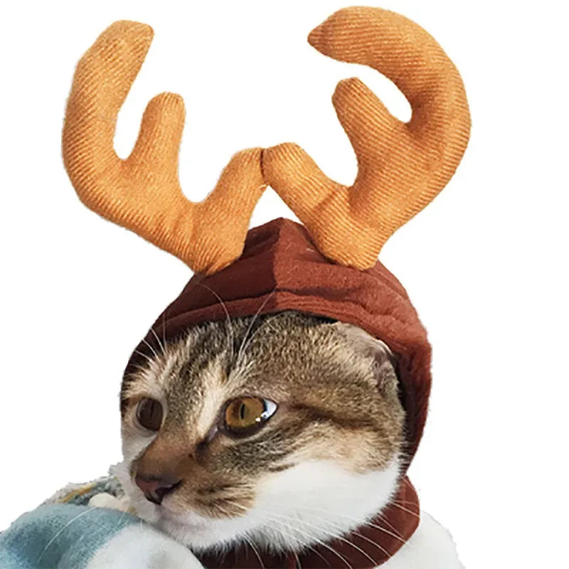 Cat wearing a reindeer hat with large orange antlers on a white background