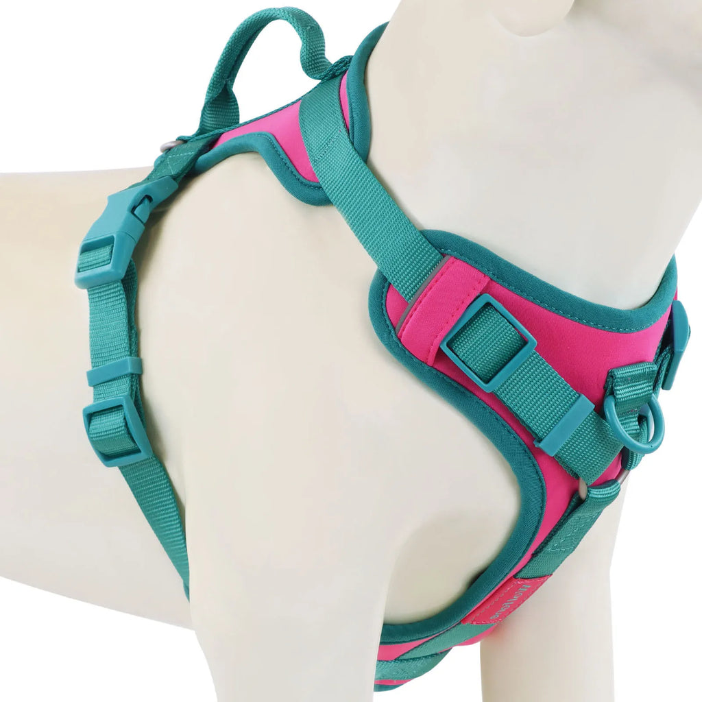 Pink and teal dog harness on a mannequin