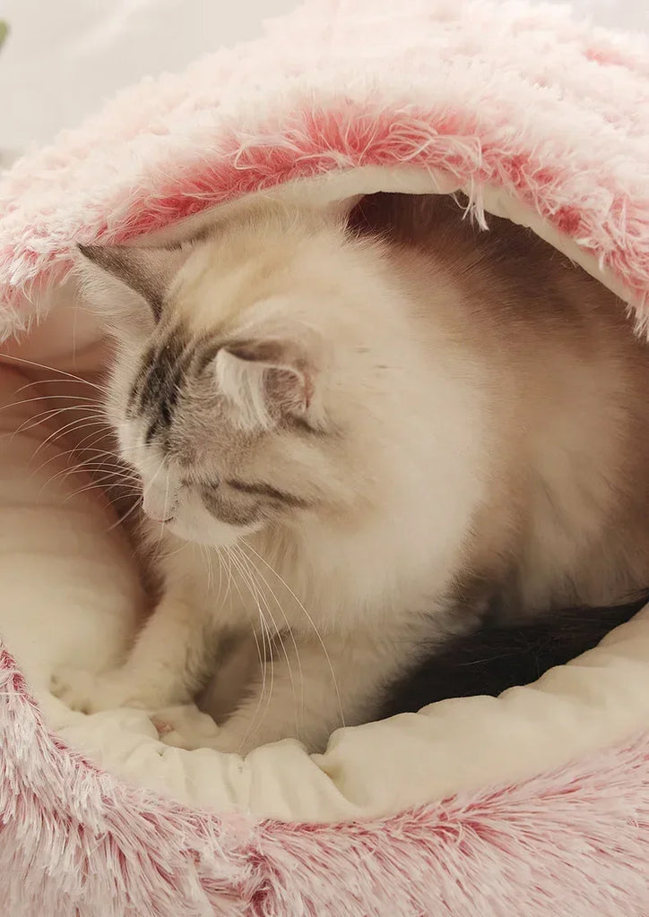 Cat peeking out from a pink and white fluffy pet bed