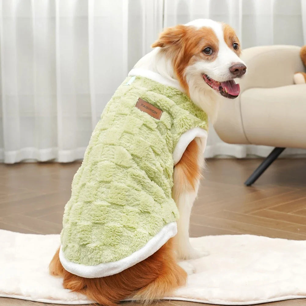 Dog wearing a green and white fleece coat sitting on a wooden floor.