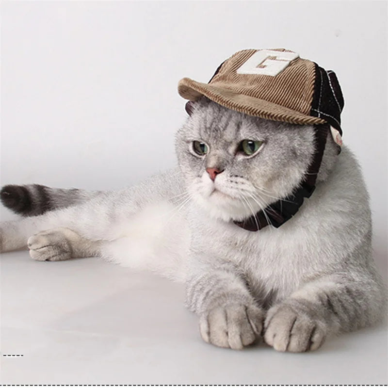 Cat wearing a brown cap on a white background