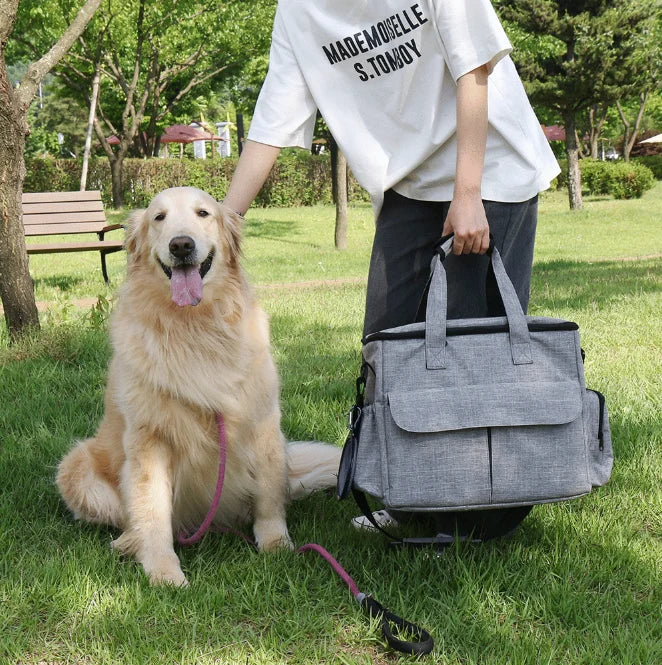 Person with a gray pet carrier and a dog on a leash in a park