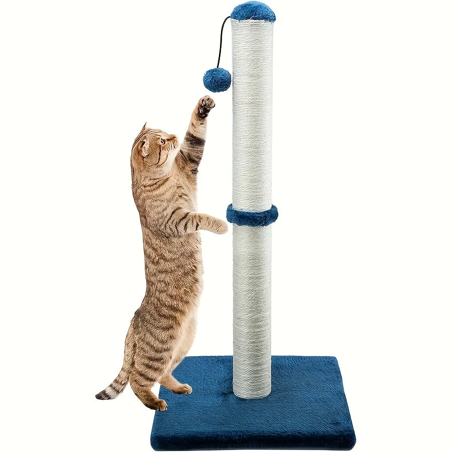 Cat playing with a scratching post with blue accents on a white background