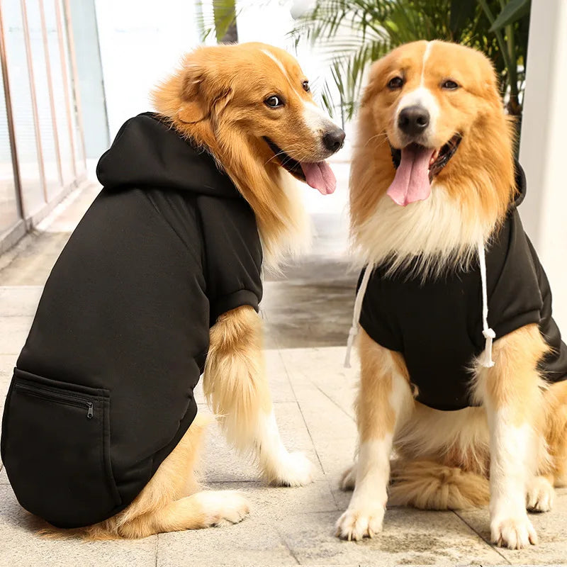 Two dogs wearing black hoodies sitting side by side on a stone surface.