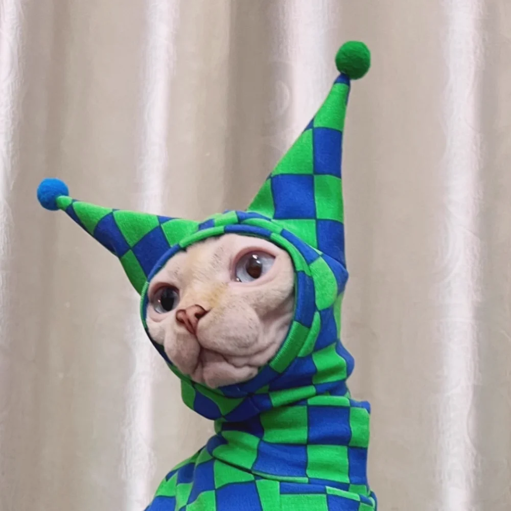 A small cat wearing a green and blue checkered jester-style hooded outfit, photographed against a soft beige curtain background.