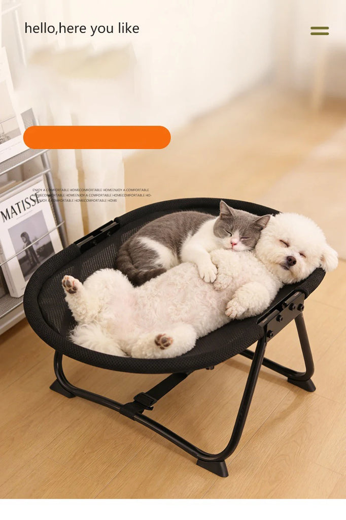 Two dogs and a cat lying on a black pet bed indoors.