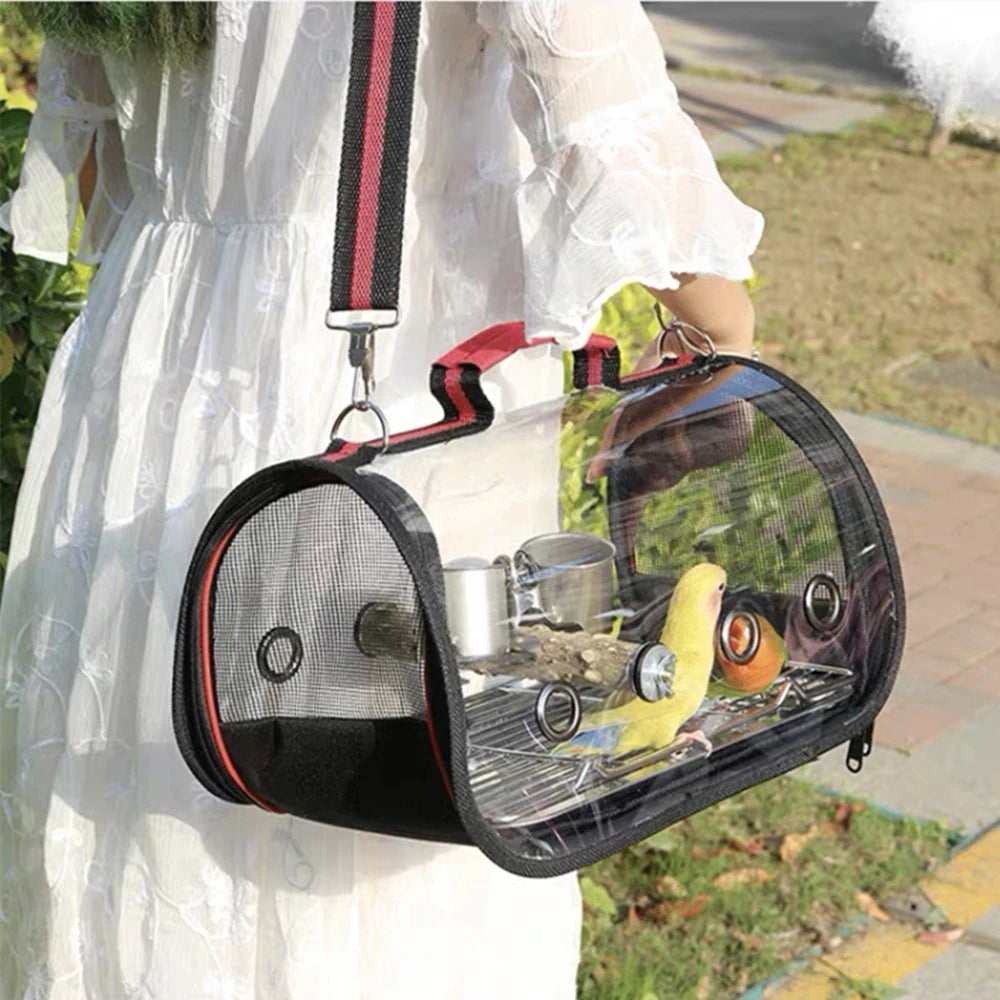 Pet carrier with a parakeet inside, held by a person outdoors.