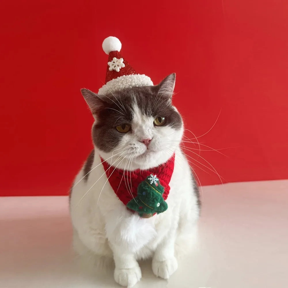 A gray and white cat wearing a red Santa hat with a white pom-pom and a red knitted scarf with a green Christmas tree ornament, posed against a solid red background.