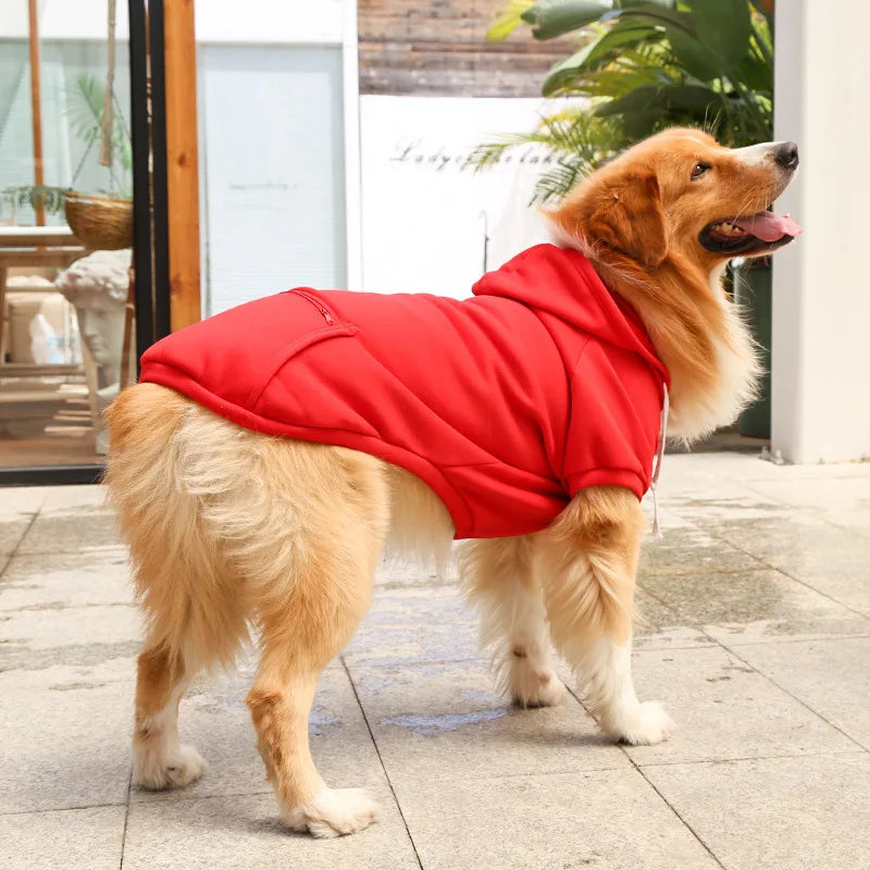 Dog wearing a red coat standing on a patio