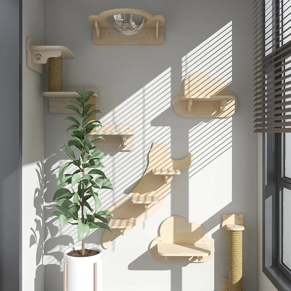 Wooden cat shelves with a plant against a wall with sunlight filtering through.