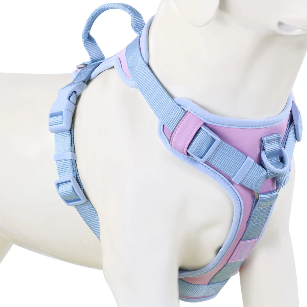 Pastel blue and pink dog harness on a mannequin