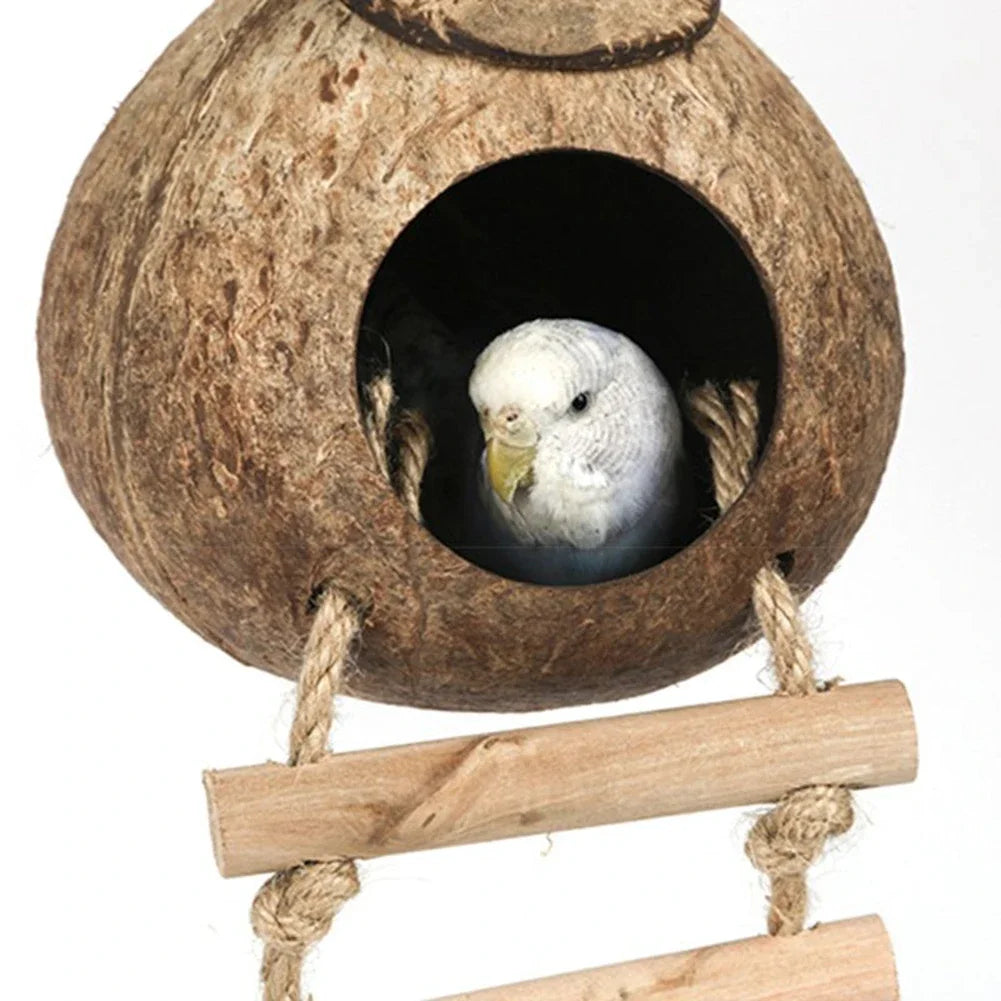 Bird peeking out from a coconut shell birdhouse with a wooden ladder on a white background