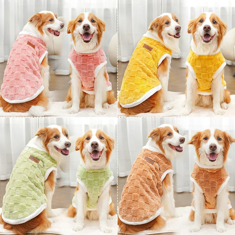 Dog wearing different colored sweaters in a grid layout.