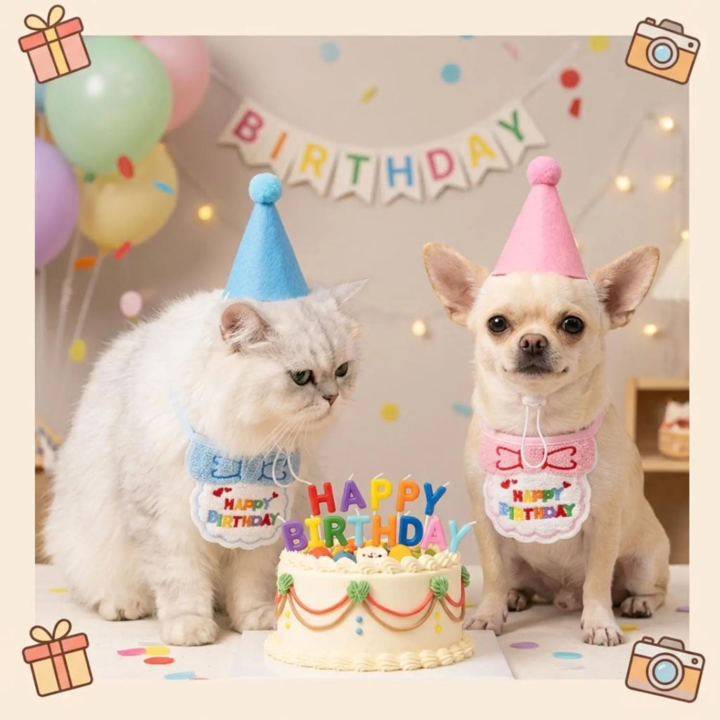 A white cat and a small tan dog sit side by side at a birthday cake, each wearing a party hat and a matching bib with colorful 'Happy Birthday' text. Balloons, confetti, and a banner in the background create a celebratory scene.