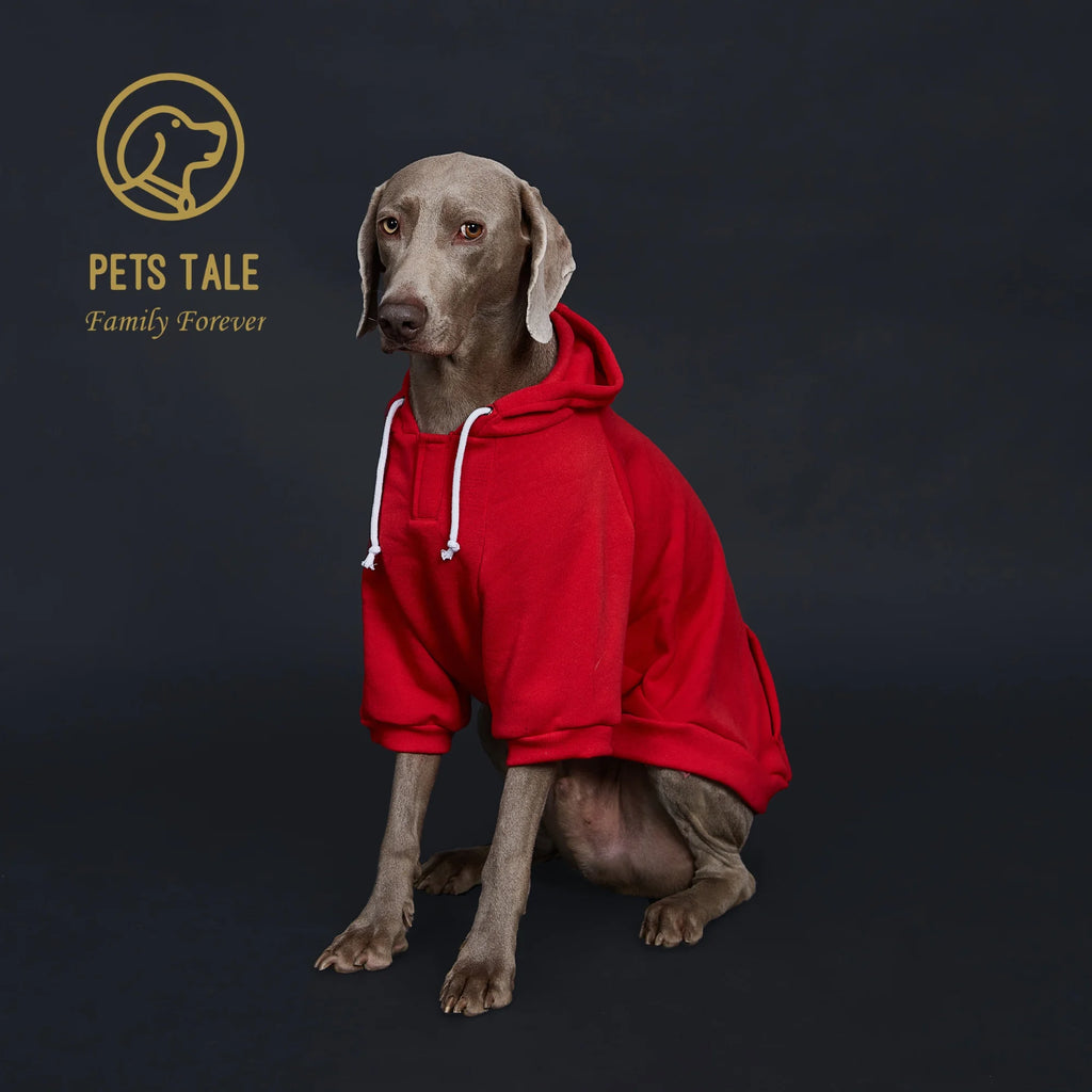 Dog wearing a red hoodie with 'Pets Tale' logo on a dark background
