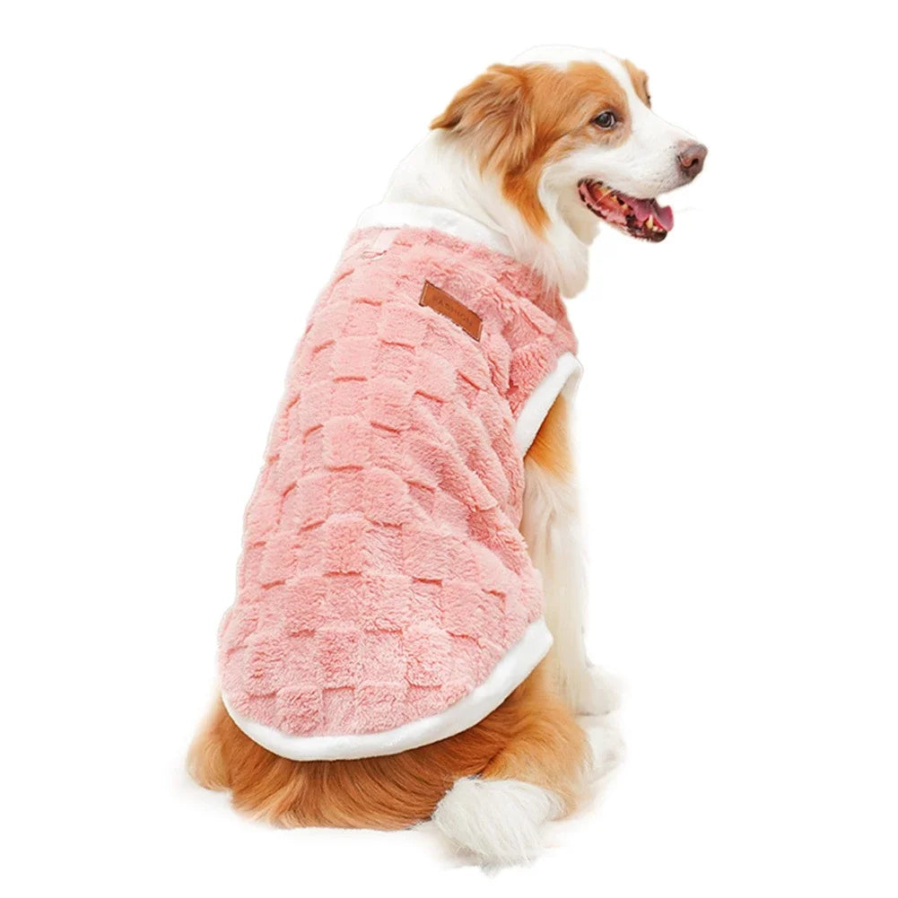 Dog wearing a pink textured coat on a white background