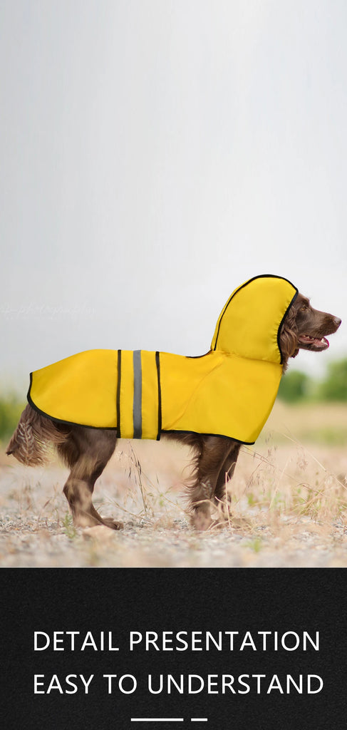 Dog wearing a yellow raincoat on a grassy field with a clear sky.
