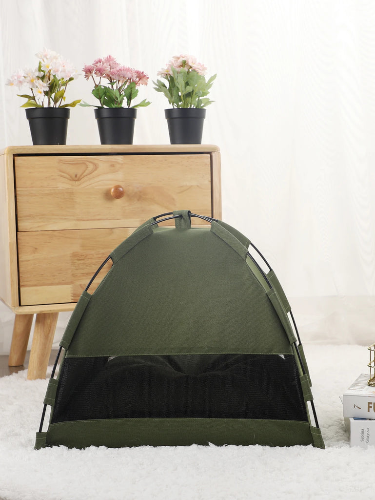 Green tent on a white surface with a wooden dresser and potted plants in the background.
