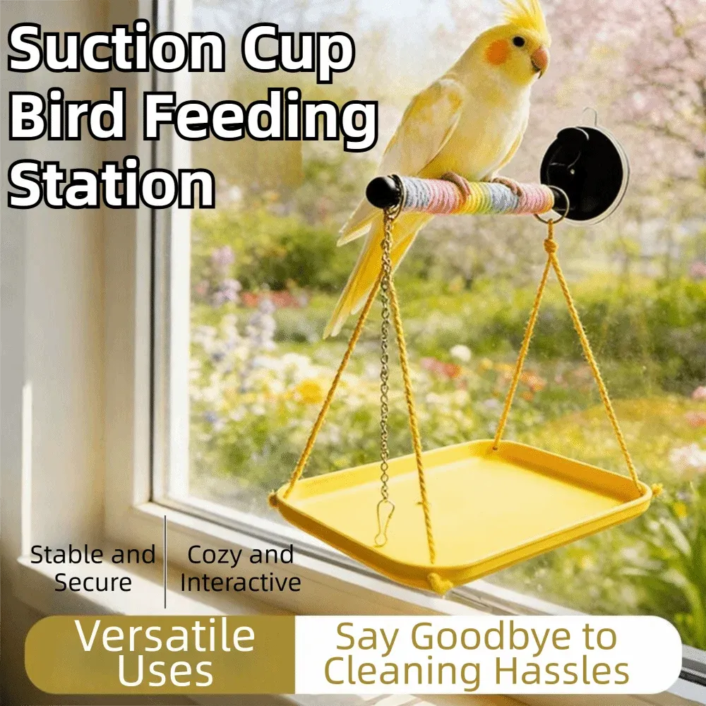 Bird perched on a suction cup bird feeding station with text highlighting features.