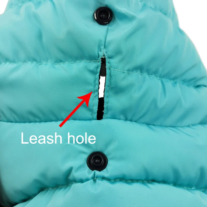 Turquoise puffer jacket with a leash hole indicated by a red arrow and text.