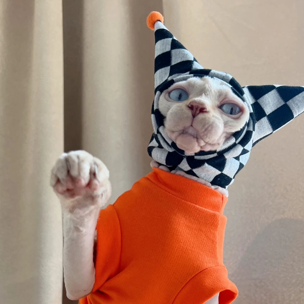 Cat wearing a checkered hat and orange outfit against a beige curtain background