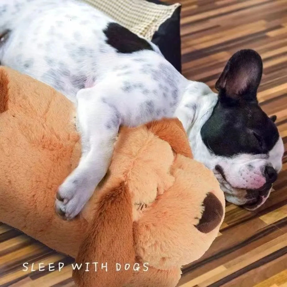Dog lying on a plush toy with 'Sleep with Dogs' text
