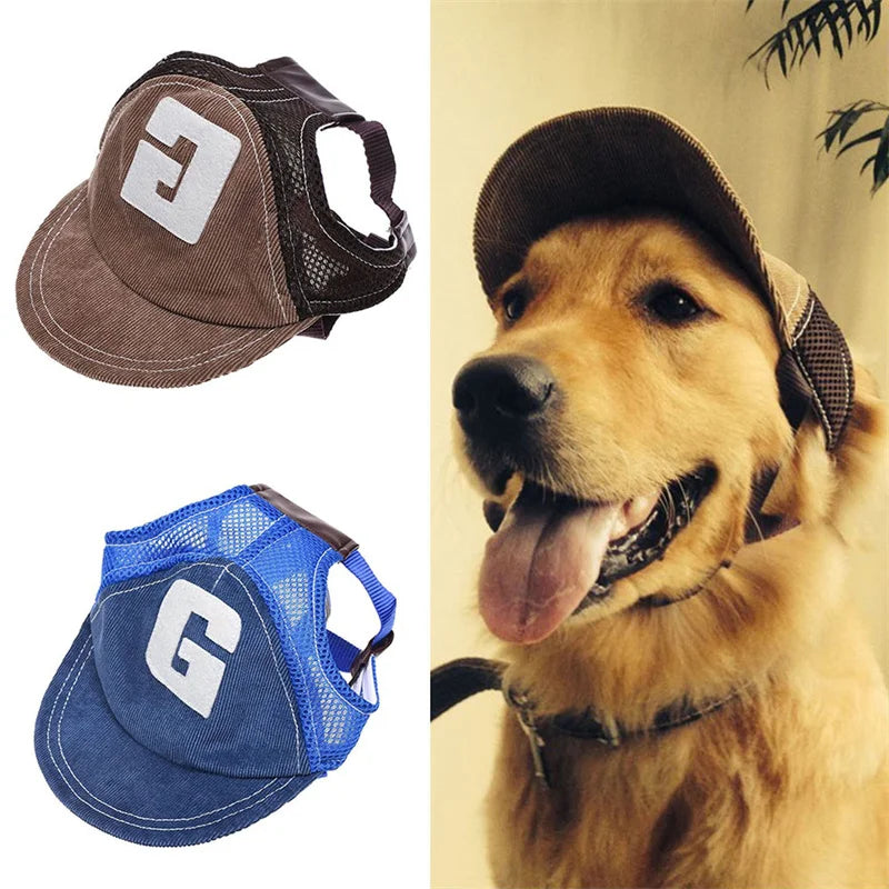 Two dog harnesses, one brown and one blue, with a dog wearing the brown harness.