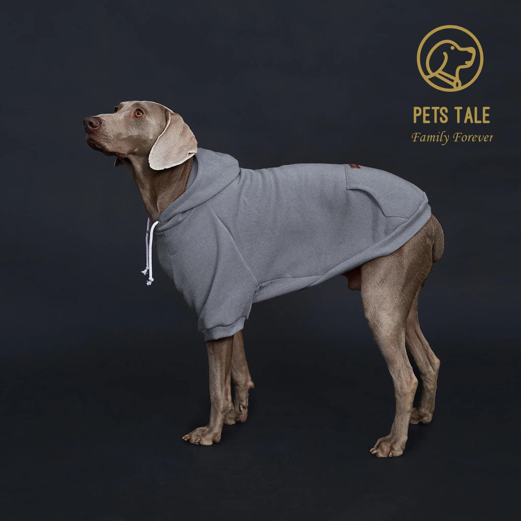 Dog wearing a gray hoodie with 'Pets Tale' logo on a dark background