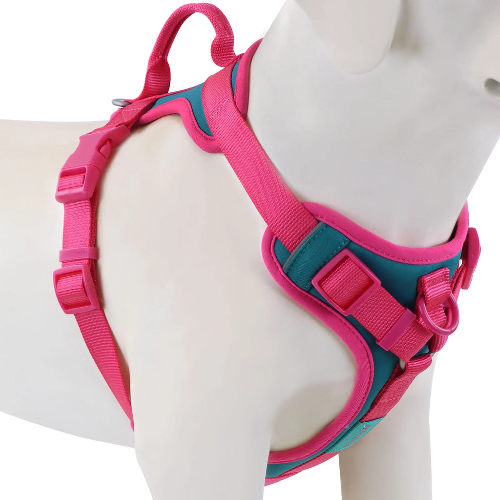 Pink and teal dog harness on a mannequin