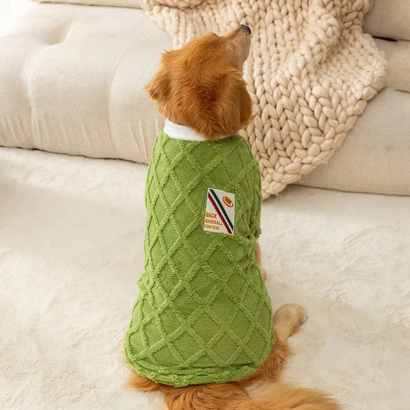 Dog wearing a green sweater on a beige couch