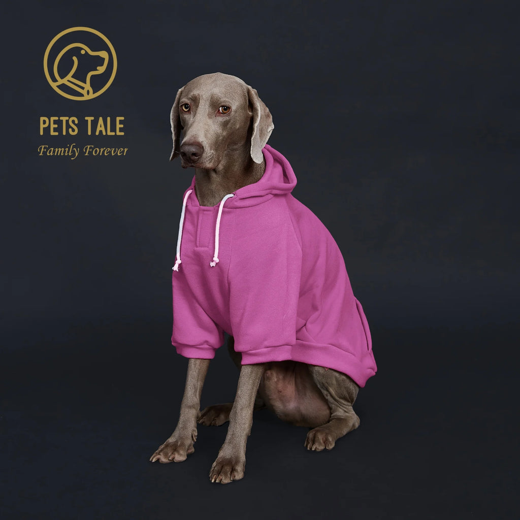 Dog wearing a pink hoodie with 'Pets Tale' logo on a dark background